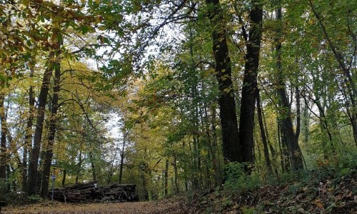 Stadio del ghiaccio Chiasso