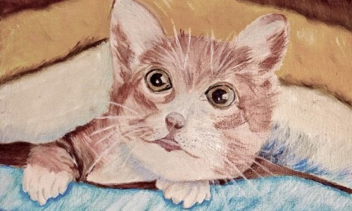 Kunstausstellung: Therese Gerber & Frieda Hossmann