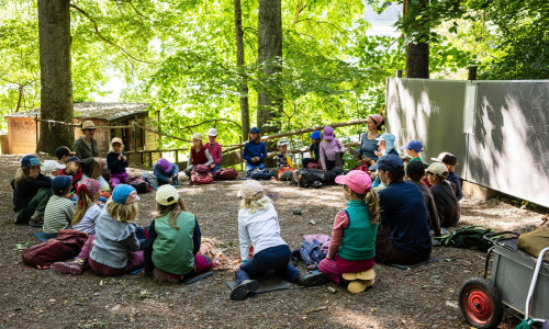 Schnuppermorgen im Wald