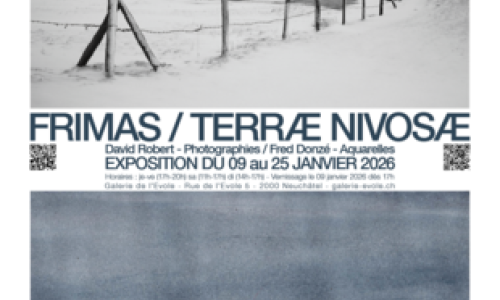 Exposition Noordzee/Terrae Nivosae