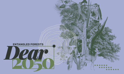 Dear2050: Entangled Forests - Forum de l'H&ocirc;tel de Ville, Lausanne