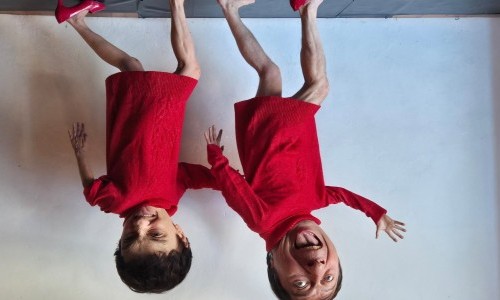 Theater Sgaramusch Käfer (Arbeitstitel)