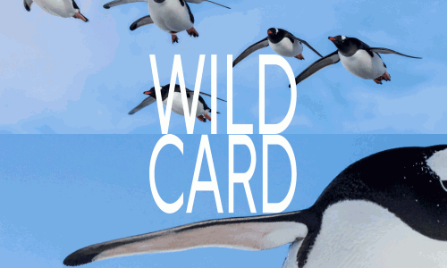 Wild Card im Februar