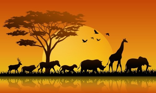 Histoires du samedi | Contes inédits de la brousse du Congo