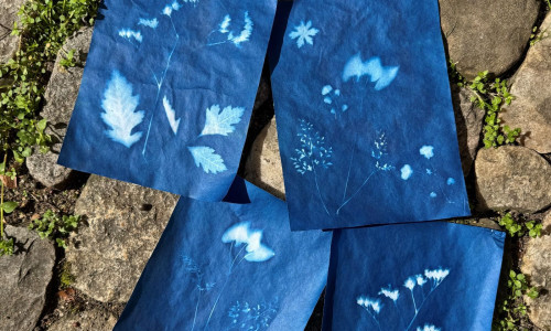 Sonnenfotografie &ndash; blaue Bilder
