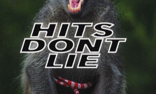 Hits don't lie, Hunny, Beta Male, Krysl