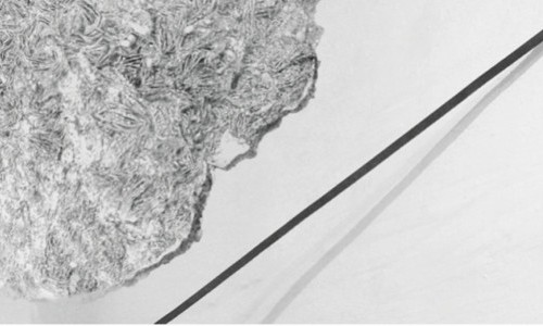 Othmar Eder / Gisela Hoffmann – fragile