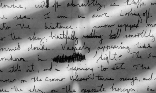 Lesung/Workshop mit dem Kollektiv WEICHE SCHAM