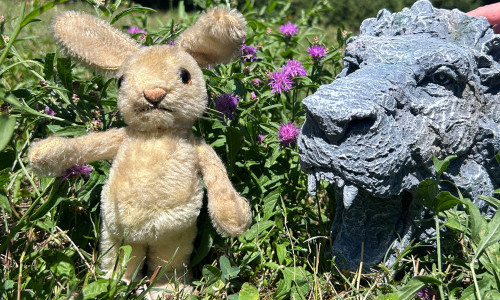Suchen und Finden