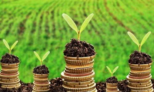 Ökologisch Geld anlegen