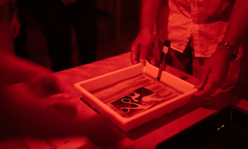 Workshop: Fotogramm – Gestalten mit Licht