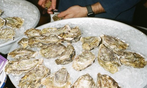 ORA welcomes Südhang Austernbar