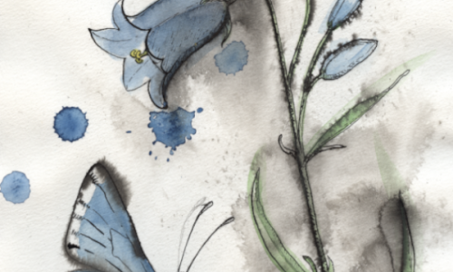 Klang und Flora