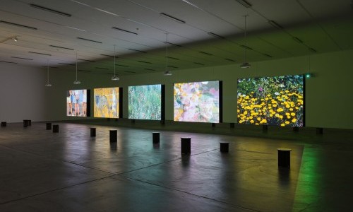 Rose Lowder – Bouquets