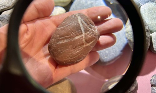 Bestimmungs-Crashkurs