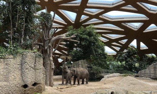 Zoo Z&uuml;rich