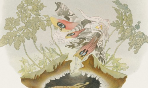 Wie wir weiterleben. Vorstellungen vom Danach