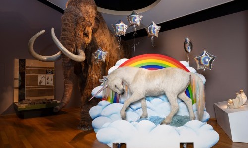 Familiensonntag: Wunderliche Wesen