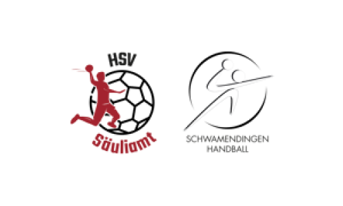 HSV S&auml;uliamt 2 - Schwamendingen Handball