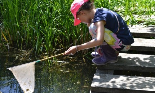 Naturlabor am Teich