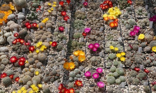 Saisonale Highlights