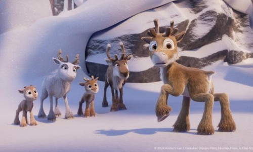 Niko – Reise zu den Polarlichtern