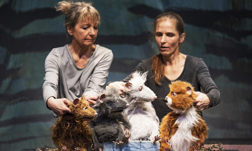 Die Muskeltiere