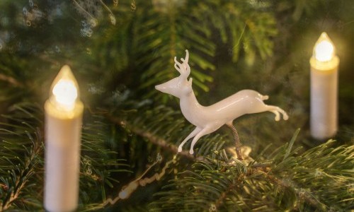 Familienveranstaltung: Weihnachtsbaumausstellung