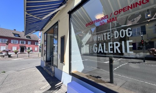 White-Dog-Galerie