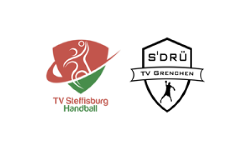 TV Steffisburg HARZ 4 - TV Grenchen s'Dr&uuml;