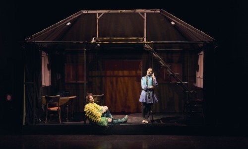 Die Zauberflöte – eine Zitherpartie