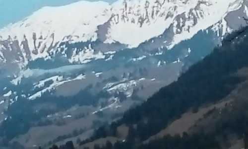 Viehschauplatz Anger