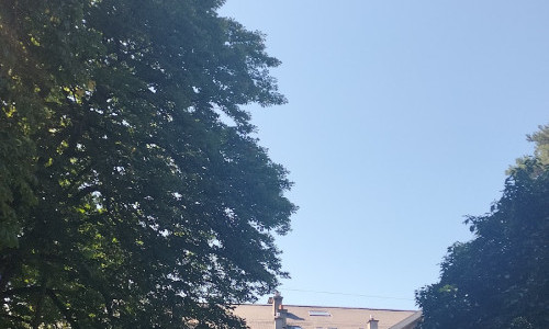 Salle Venturelli