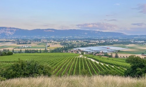 Zone Sportive du Signal de Bernex