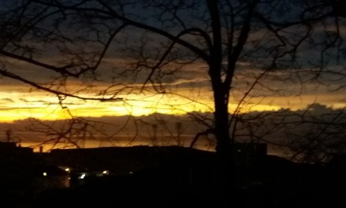 Cit&eacute; universitaire