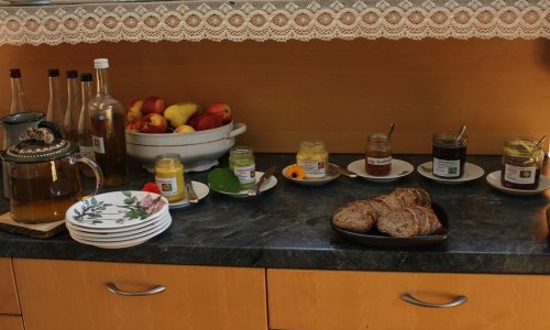 Heilmittel aus Kräuter machen und Kulinarik aus Wildpflanzen