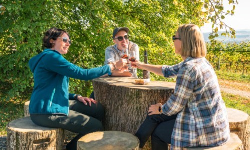 Kunst & Wein am Iselisberg