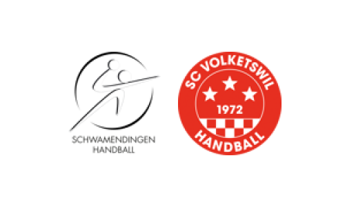 Schwamendingen Handball - SG Oberland Falcons 1