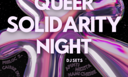 Queer Solidarity Party