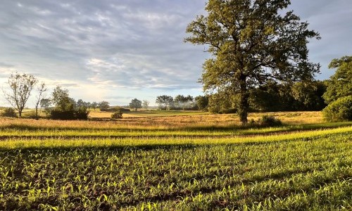 &laquo;Zwitscherzeit!&raquo; Wie Bauernfamilien erfolgreich V&ouml;gel sch&uuml;tzen