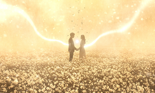 Snowdrop European Tour 2027: MONO