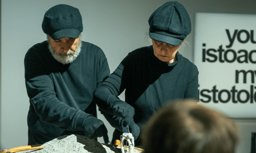 VISITE COMMENT&Eacute;E PUBLIQUE