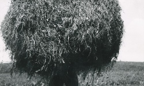 Fotoatelier Wolgensinger &ndash; Mit vier Augen