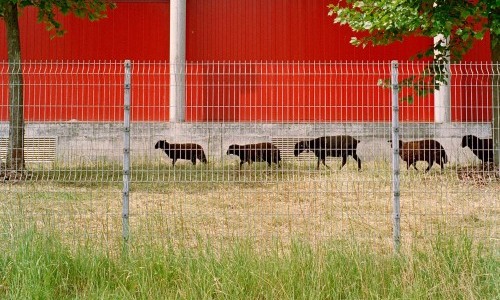 Unter uns &ndash; Erkundungen im Zwischenraum: Im Gespr&auml;ch