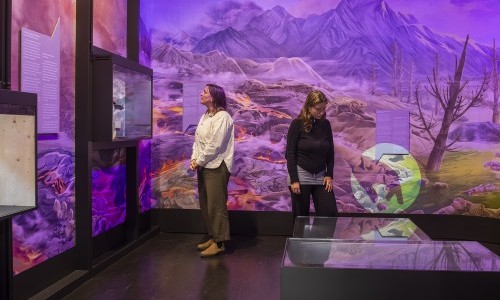 Ausstellungsf&uuml;hrung &laquo;Mensch, Erde! &ndash; Das Klima im Wandel&raquo;