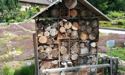 Jardin botanique de l'Universit&eacute; de Fribourg