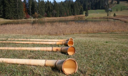 Alphorn spielen