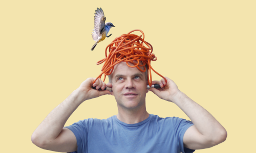 Fliegen F&ouml;gel falsch?