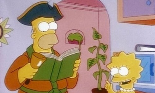 ProSieben: Die Simpsons