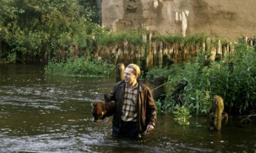 Dekalog 7 und 8